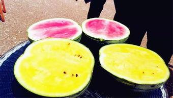 汕头最新吃瓜爆料免费观看,最新爆料免费直播，揭秘汕头风云变幻